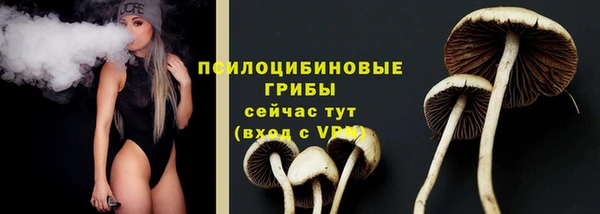 spice Сатка