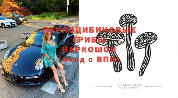 spice Сатка