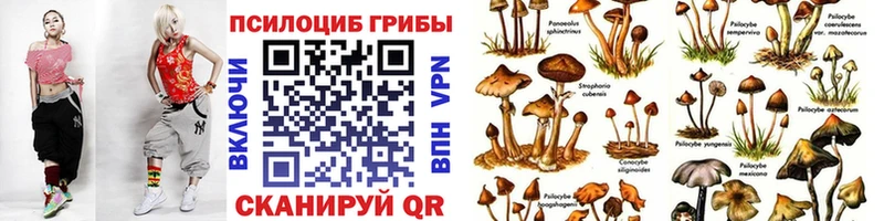 Галлюциногенные грибы GOLDEN TEACHER  Солигалич 