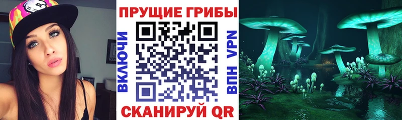 Псилоцибиновые грибы GOLDEN TEACHER Солигалич